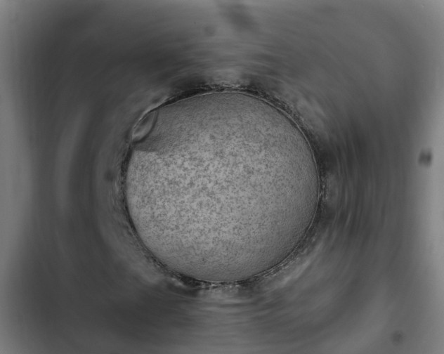 X0000103141201200808291331