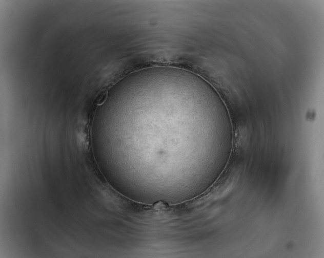 X0000103141202200808291331