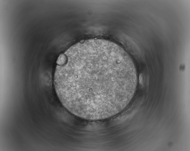 X0000103141203200808291331