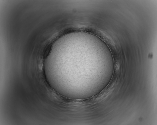 X0000103141204200808291331