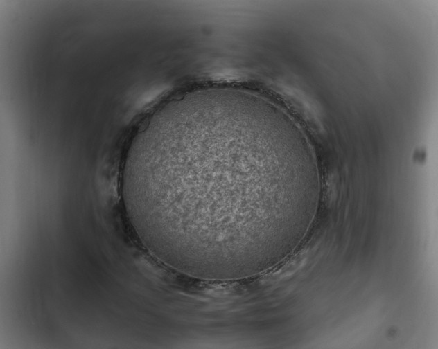 X0000103141205200808291331