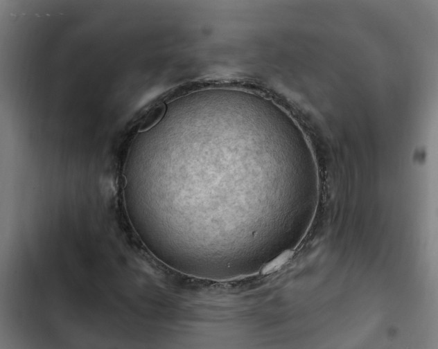 X0000103141206200808291331