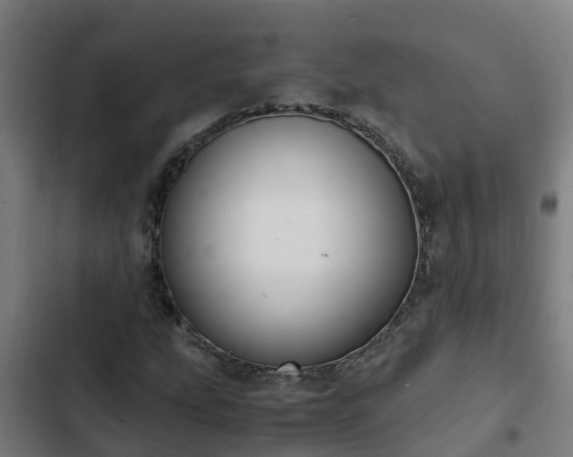 X0000103141207200808291331