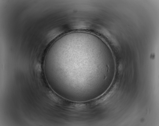 X0000103141209200808291331