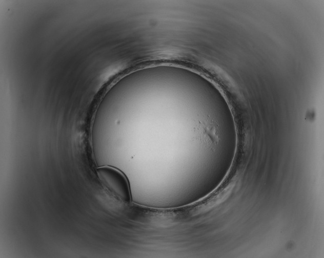 X0000103141210200808291331