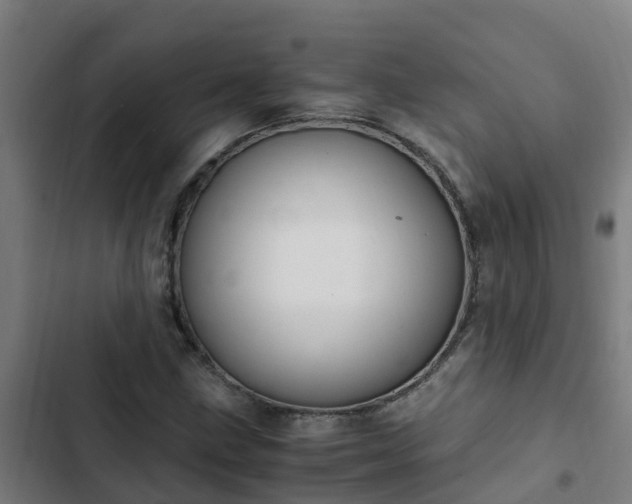 X0000103141211200808291331