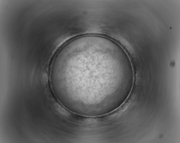 X0000103141212200808291331