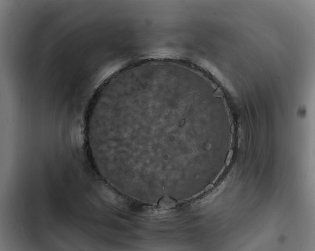 X0000103141213200808291331