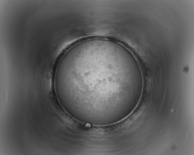 X0000103141214200808291331