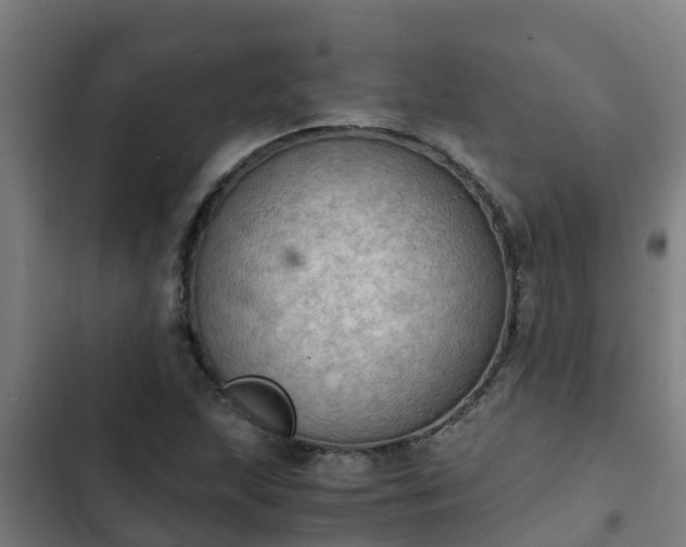 X0000103141215200808291331