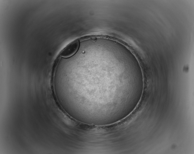 X0000103141216200808291331