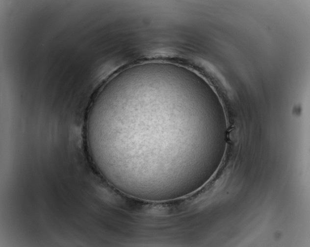 X0000103141217200808291331