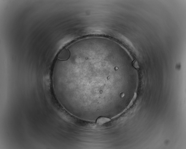 X0000103141218200808291331