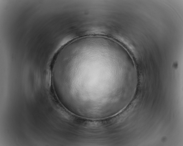 X0000103141219200808291331