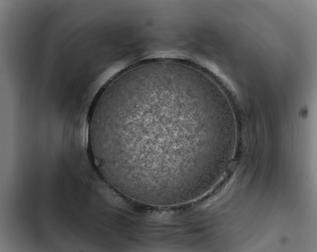 X0000103141221200808291331