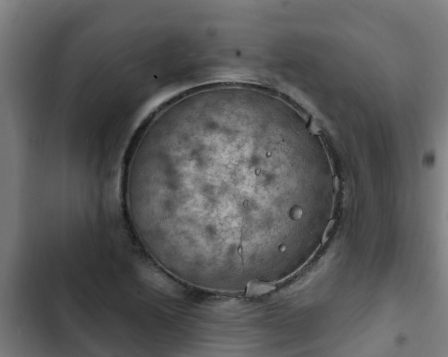 X0000103141222200808291331