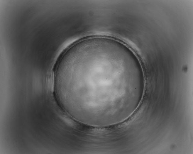 X0000103141223200808291331