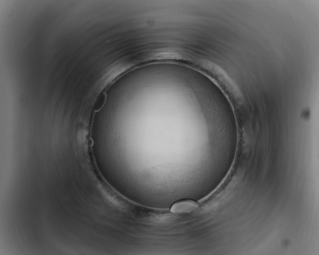 X0000103141225200808291331