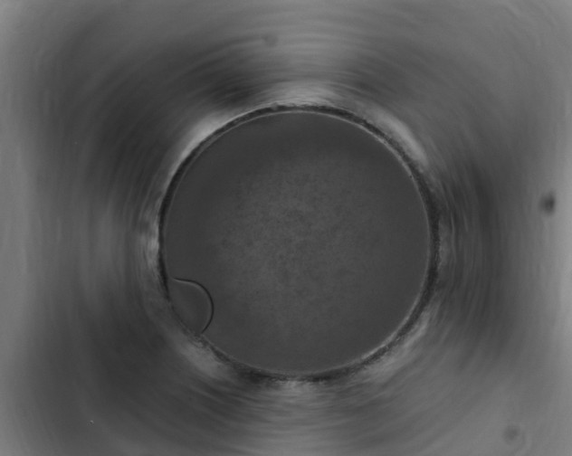 X0000103141226200808291331