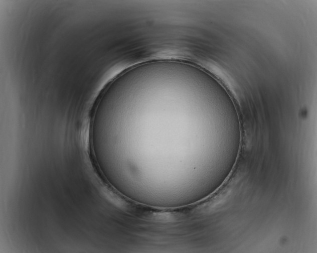 X0000103141227200808291331