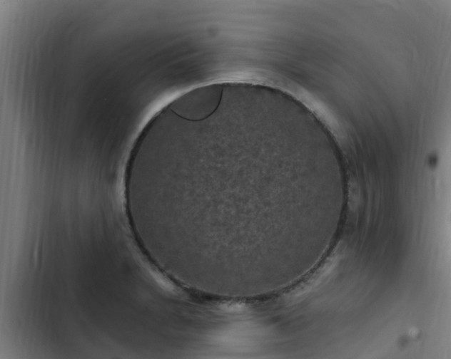 X0000103141230200808291331