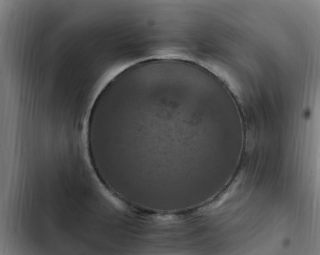 X0000103141231200808291331