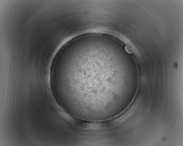 X0000103141232200808291331