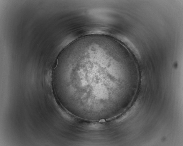 X0000103141233200808291331