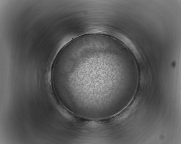 X0000103141234200808291331