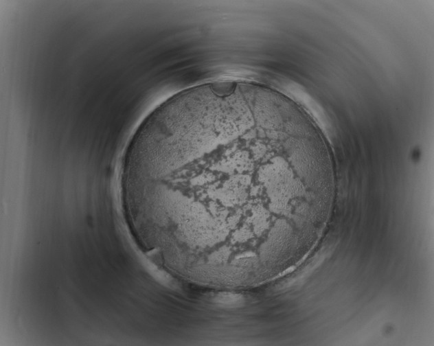 X0000103141235200808291331