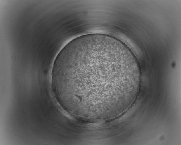 X0000103141236200808291331