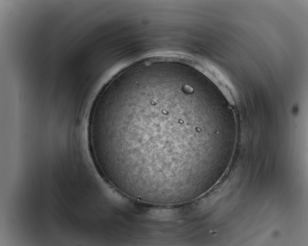 X0000103141237200808291331