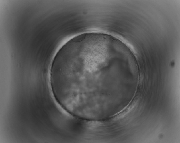 X0000103141239200808291331