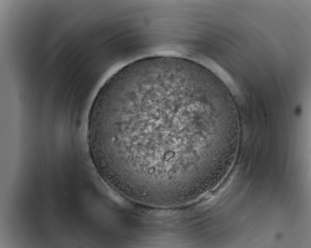 X0000103141240200808291331