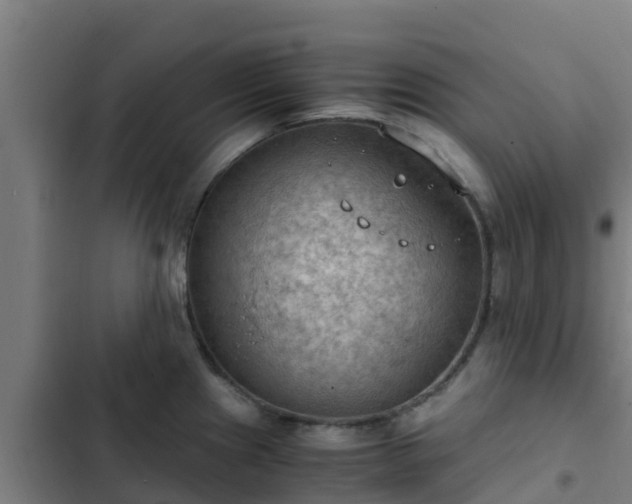 X0000103141241200808291331