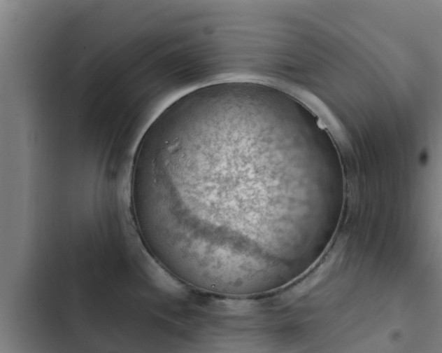 X0000103141244200808291331