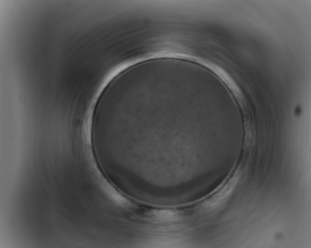 X0000103141246200808291331