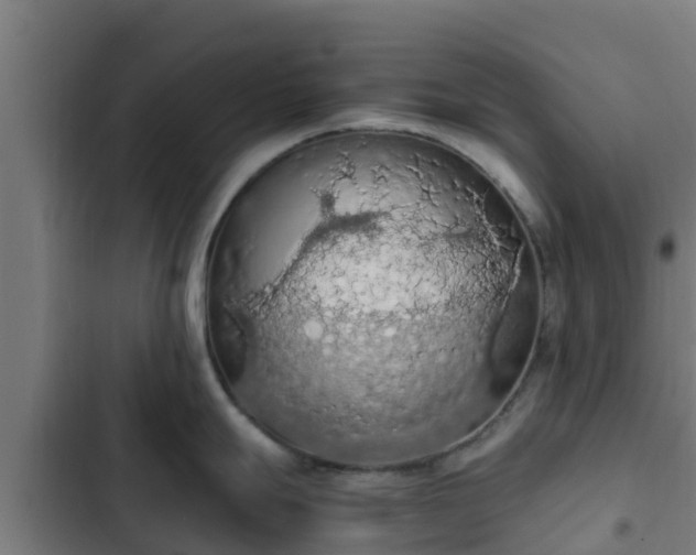 X0000103141247200808291331