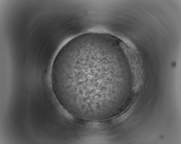 X0000103141248200808291331