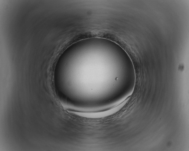 X0000103141249200808291331