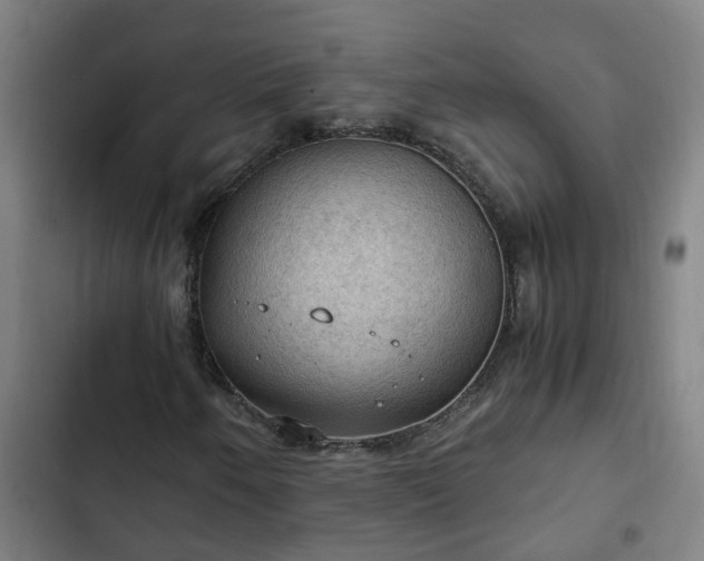 X0000103141250200808291331