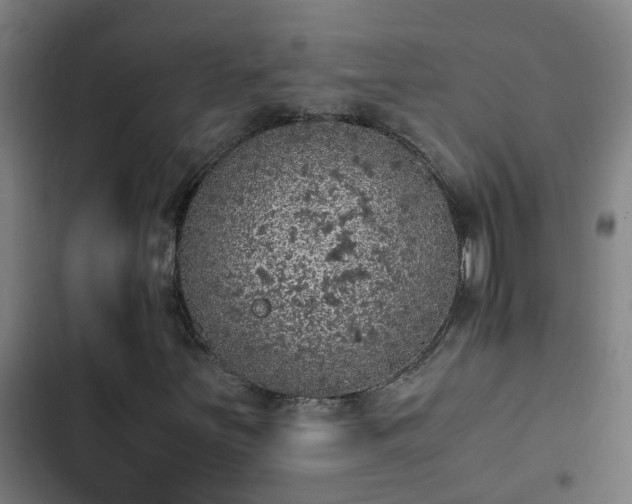 X0000103141251200808291331