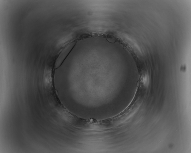 X0000103141252200808291331