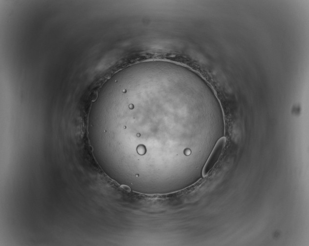 X0000103141253200808291331