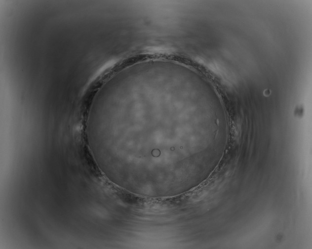 X0000103141254200808291331