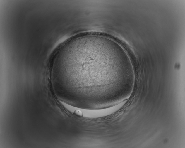 X0000103141255200808291330