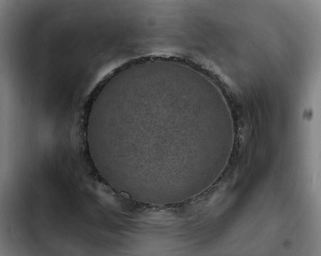 X0000103141256200808291330