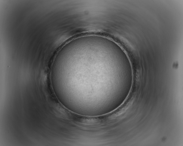 X0000103141257200808291330