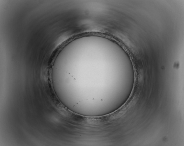 X0000103141258200808291330