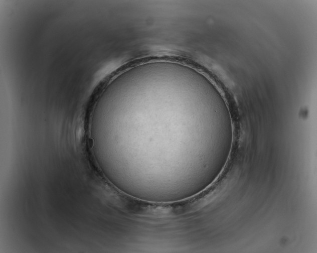 X0000103141261200808291330